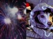 Puppy Afraid of Fireworks? Teach Your Dog to Overcome Fear of Fireworks