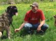 Personal Dog Trainer Pricing