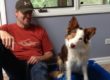 meeting dogs
