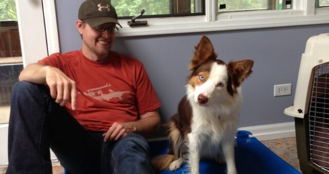 meeting dogs