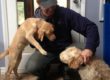 puppyclasse