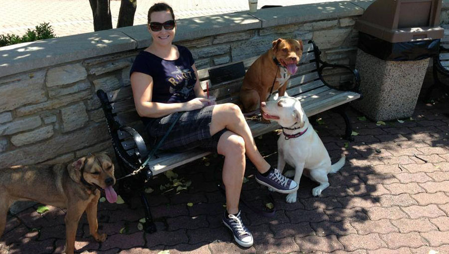 Professional Dog Trainers Naperville, IL | Canine Peace of Mind