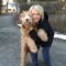 bella hinsdale dog training bella hinsdale dog training