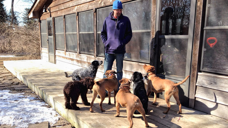 Puppy Training Facility |Canine Peace of Mind, Naperville,-IL