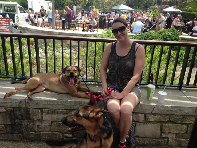 dogs living in the city