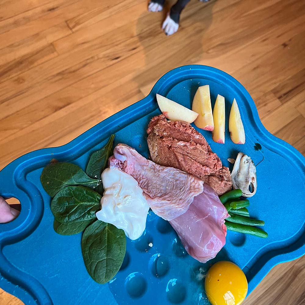 Crafting a Healthy Diet for Dogs | Dog Food Recommendations