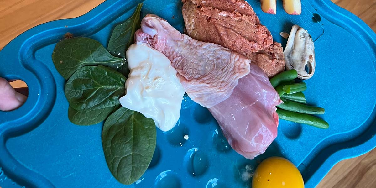 Head Trainer’s Tips for Crafting a Healthy Diet for Dogs