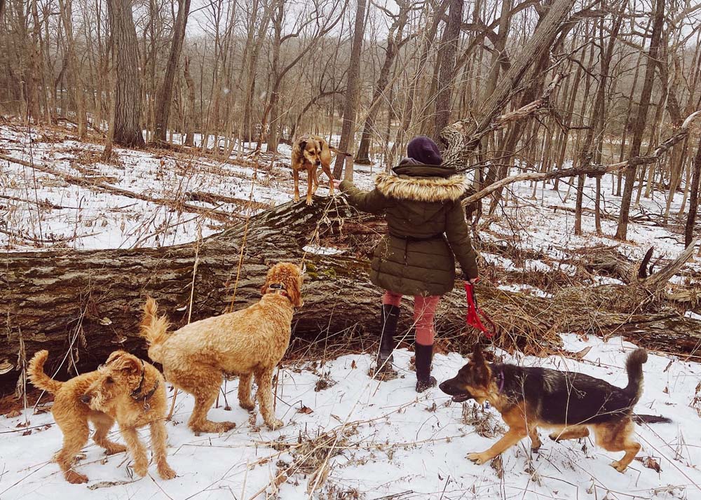 Things to Do With Your Dog While You Wait for Spring