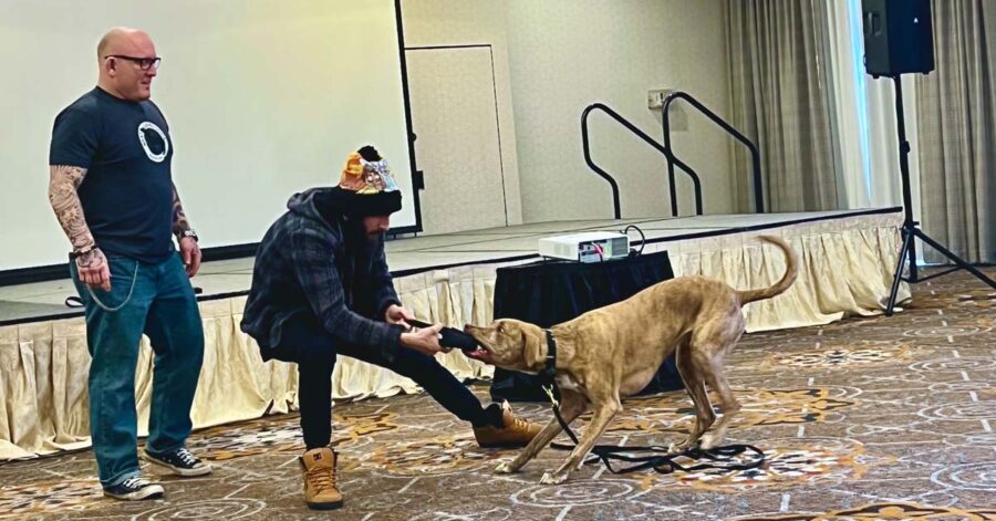 Lucas working with Jay Jack and Mango - Canine Peace of Mind
