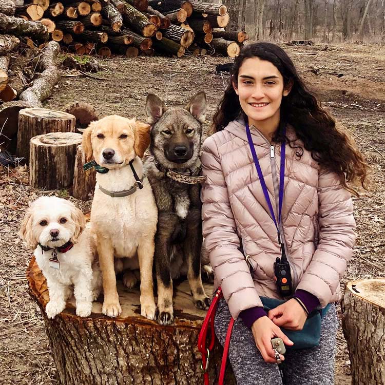 Frida Covarrubias - Canine Peace of Mind
