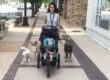 Safely Introduce Dog to Newborn Baby - Canine Peace of Mind