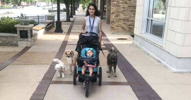 Safely Introduce Dog to Newborn Baby - Canine Peace of Mind